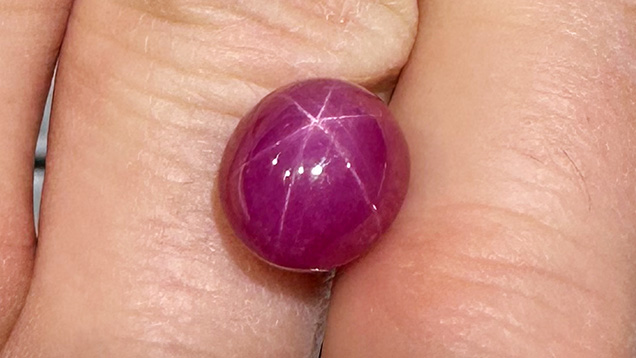 Figure 2. Exceptional 13.2 ct star ruby from Vietnam measuring 12.3 × 11.0 mm. Photo by Jennifer Stone-Sundberg; courtesy of Columbia Gem House. Figure 2. Exceptional 13.2 ct star ruby from Vietnam measuring 12.3 × 11.0 mm. Photo by Jennifer Stone-Sundberg; courtesy of Columbia Gem House.