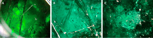 Figure 10. Inclusions in the pendant’s larger emerald: fissures (A), multiphase inclusions with roundish outlines (B), and thin films (C). Photomicrographs by Gérard Panczer (A) and Aurélien Delaunay (B and C); fields of view 3.0 mm (A) and 1.5 mm (B and C). Figure 10. Inclusions in the pendant’s larger emerald: fissures (A), multiphase inclusions with roundish outlines (B), and thin films (C). Photomicrographs by Gérard Panczer (A) and Aurélien Delaunay (B and C); fields of view 3.0 mm (A) and 1.5 mm (B and C).