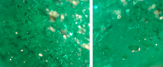 Figure 11. Flakes/sheets (possibly mica) and roundish multiphase inclusions in the pendant’s smaller emerald. Photomicrographs by Aurélien Delaunay; fields of view approximately 0.8 mm (left) and 1.5 mm (right). Figure 11. Flakes/sheets (possibly mica) and roundish multiphase inclusions in the pendant’s smaller emerald. Photomicrographs by Aurélien Delaunay; fields of view approximately 0.8 mm (left) and 1.5 mm (right).