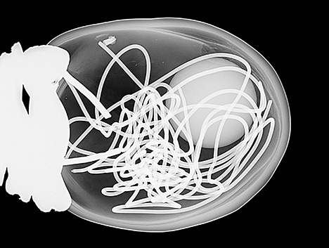 Figure 2. RTX image showing a hollow structure filled with a round bead nucleus and multiple metal wires. Figure 2. RTX image showing a hollow structure filled with a round bead nucleus and multiple metal wires.