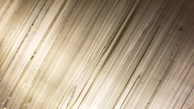 Growth tubes causing the chatoyancy in the bicolor tourmaline. Growth tubes causing the chatoyancy in the bicolor tourmaline.
