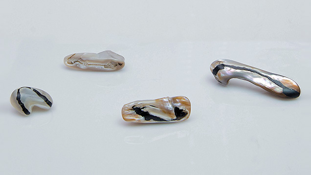 Bands appear to be organic-rich formations. Bands appear to be organic-rich formations.