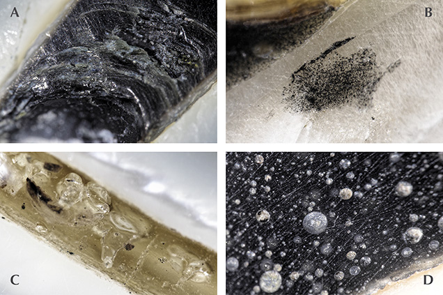 Blister Photomicrographs. Blister Photomicrographs.