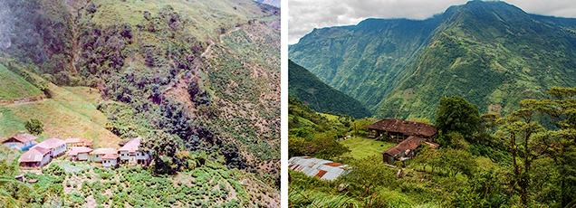 Las Cascadas, Peter Rainier’s home and tea plantation Las Cascadas, Peter Rainier’s home and tea plantation