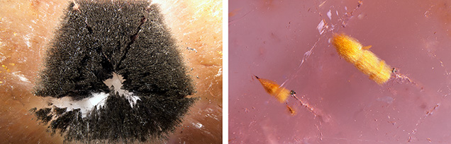 Metallic dendritic (left) and fibrous inclusions (right) in the trapiche-like amethysts.