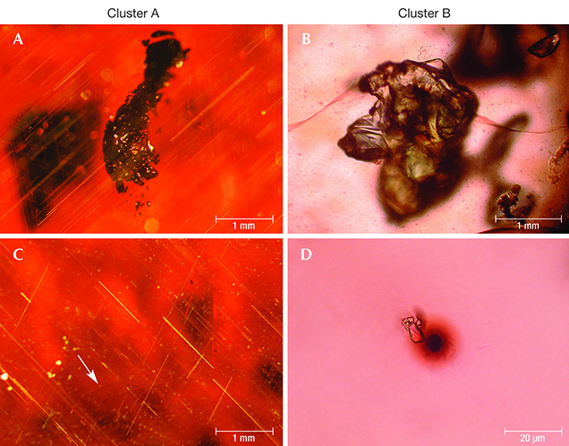 Characteristic inclusions in Ca-poor almandines from Merovingian jewelry Characteristic inclusions in Ca-poor almandines from Merovingian jewelry