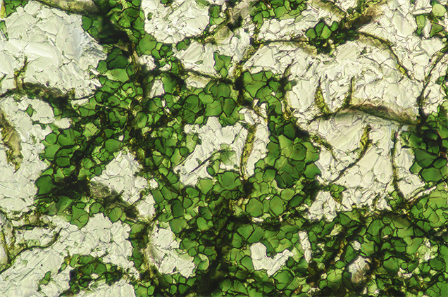 Interlocking platy crystals of chromium oxide.