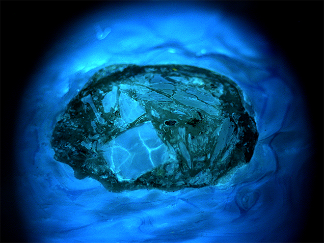 Fluorescence reactions of the pearl’s surface, shell pieces, and filler. Fluorescence reactions of the pearl’s surface, shell pieces, and filler.