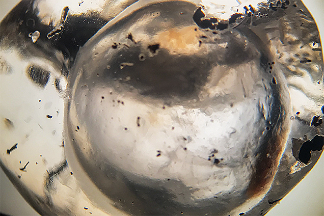 Eye-visible three-phase fluid inclusion in a Mexican opal.