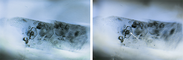Negative crystals within this euhedral sapphire inclusion (left) displayed a CO2 bubble (right) after exposure to low temperatures. Negative crystals within this euhedral sapphire inclusion (left) displayed a CO2 bubble (right) after exposure to low temperatures.