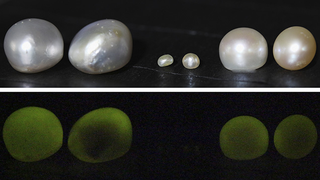 X-ray fluorescence reactions of two pearls X-ray fluorescence reactions of two pearls