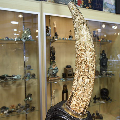 Carved mammoth tusk featuring an ocean theme.