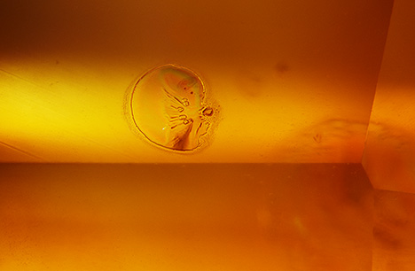 Additional evidence of heat treatment in this small crystal with a melted appearance.