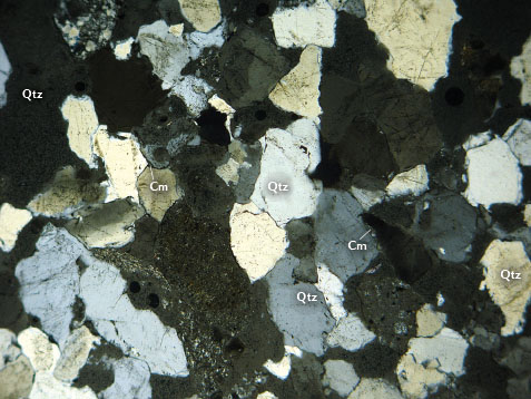 This thin section of amber-bearing sandstone contains quartz and sericitized clay minerals. This thin section of amber-bearing sandstone contains quartz and sericitized clay minerals.