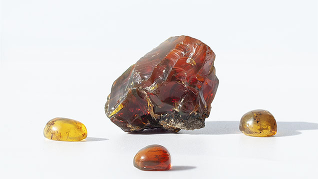 Gem-quality amber rough and cabochons from Phu Quoc. Gem-quality amber rough and cabochons from Phu Quoc.