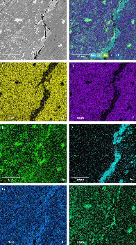 Figure 10. Element maps from EDS data showing iron sulfide, manganese oxide, and manganese hydroxide mainly crystallized on the surface of sample MI-8. The BSE image (A) and an integrated element distribution map (B). EDS mapping of calcium (C), phosphorus (D), iron (E), manganese (F), oxygen (G), and sulfur (H).