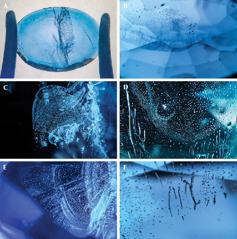 Figure 4. Nickel-diffused spinel shows subtle color concentration along facet junctions (A and B) and features suggesting flux-assisted healing of the fractures during the heating process (C–F). Photos by Aaron Palke; fields of view 10.24 mm (A), 2.90 mm (B), 2.34 mm (C and D), 1.76 mm (E), and 1.99 mm (F). Figure 4. Nickel-diffused spinel shows subtle color concentration along facet junctions (A and B) and features suggesting flux-assisted healing of the fractures during the heating process (C–F). Photos by Aaron Palke; fields of view 10.24 mm (A), 2.90 mm (B), 2.34 mm (C and D), 1.76 mm (E), and 1.99 mm (F).
