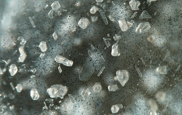 Figure 2. Negative crystals, film-like inclusions, and ilmenite were observed under magnification in the star aquamarine. Photomicrograph by Jessa Rizzo; field of view 3.57 mm.