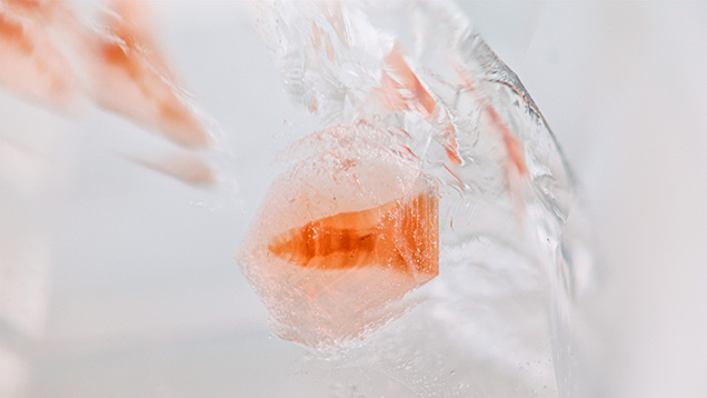 Figure 2. Magnification of pinkish orange triplite in a transparent quartz from Yaogangxian in Hunan Province, China. Photomicrograph by Hongtao Shen; field of view 11.15 mm. Figure 2. Magnification of pinkish orange triplite in a transparent quartz from Yaogangxian in Hunan Province, China. Photomicrograph by Hongtao Shen; field of view 11.15 mm.