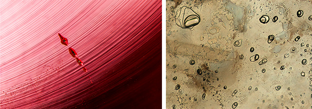 Figure 5. Left: Typical inclusions in flame-fusion rubies include curved striae and gas bubbles. Photomicrograph by Nathan Renfro; field of view 3.59 mm. Right: Melt-related natural gemstones may have melt inclusions with a composition different from that of the natural host, such as these silicate melt inclusions in a Montana sapphire. Photomicrograph by Aaron Palke; field of view 0.71 mm. Figure 5. Left: Typical inclusions in flame-fusion rubies include curved striae and gas bubbles. Photomicrograph by Nathan Renfro; field of view 3.59 mm. Right: Melt-related natural gemstones may have melt inclusions with a composition different from that of the natural host, such as these silicate melt inclusions in a Montana sapphire. Photomicrograph by Aaron Palke; field of view 0.71 mm.
