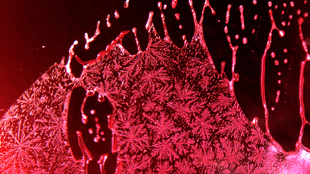 Figure 9. Partially healed fracture in a Mong Hsu ruby heated in the presence of a flux. The flux has infiltrated the fracture, partially recrystallizing the ruby and leaving behind a residue. Because the flux used to treat natural gemstones is similar to that used to produce flux-grown synthetic ruby, these types of inclusions can look similar. Photomicrograph by Nattida Ng-Pooresatien; field of view 1.3 mm. Figure 9. Partially healed fracture in a Mong Hsu ruby heated in the presence of a flux. The flux has infiltrated the fracture, partially recrystallizing the ruby and leaving behind a residue. Because the flux used to treat natural gemstones is similar to that used to produce flux-grown synthetic ruby, these types of inclusions can look similar. Photomicrograph by Nattida Ng-Pooresatien; field of view 1.3 mm.