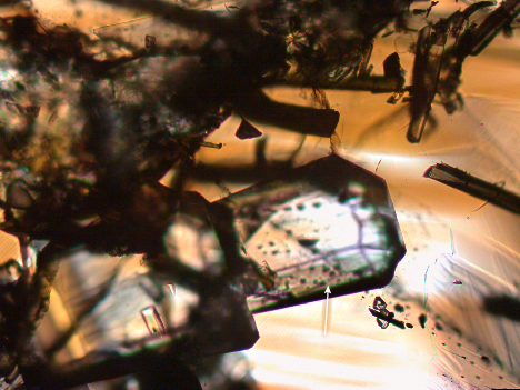 Figure 14. A mica inclusion (indicated by the arrow) in Yunling cassiterite sample C-G17. Photomicrograph by Wenqing Huang; field of view 1.13 mm. Figure 14. A mica inclusion (indicated by the arrow) in Yunling cassiterite sample C-G17. Photomicrograph by Wenqing Huang; field of view 1.13 mm.