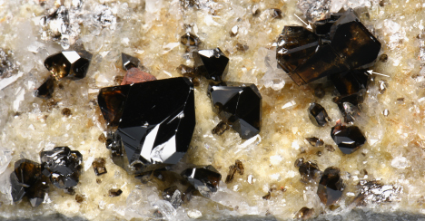 Figure 5. A cluster of transparent cassiterite crystals on the wall of a fissure vein in greisenized granite from Yunling. The presence of geniculate twins can be clearly observed at the twin interfaces, indicated by arrows. The mineral assemblage within the fissure veins consists of mica plates, cassiterite, and quartz. Some pyrite crystals with signs of ferritization are also found, though they are relatively minor. Photo by Junyi Pan; field of view 4.6 cm. Figure 5. A cluster of transparent cassiterite crystals on the wall of a fissure vein in greisenized granite from Yunling. The presence of geniculate twins can be clearly observed at the twin interfaces, indicated by arrows. The mineral assemblage within the fissure veins consists of mica plates, cassiterite, and quartz. Some pyrite crystals with signs of ferritization are also found, though they are relatively minor. Photo by Junyi Pan; field of view 4.6 cm.