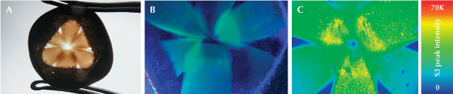 Figure 2. A: The 8.14 ct diamond maintained much of its textured rough surface on one side and had a sliced surface to reveal the underlying cloud. Photo by Taryn Linzmeyer. B: The cloud fluoresced green when exposed to long-wave UV, correlating to the peak area intensity of the S3 center; field of view 7.19 mm. C: The false-color heat map showing the peak area intensity of the S3 center was collected using 455 nm laser excitation and included 43,976 spectra. Figure 2. A: The 8.14 ct diamond maintained much of its textured rough surface on one side and had a sliced surface to reveal the underlying cloud. Photo by Taryn Linzmeyer. B: The cloud fluoresced green when exposed to long-wave UV, correlating to the peak area intensity of the S3 center; field of view 7.19 mm. C: The false-color heat map showing the peak area intensity of the S3 center was collected using 455 nm laser excitation and included 43,976 spectra.