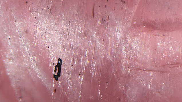 Figure 3. Light reflects off densely packed silk, needles, and particles to create the cat’s-eye effect. Photomicrograph by Courtney Robb; field of view 1.31 mm. Figure 3. Light reflects off densely packed silk, needles, and particles to create the cat’s-eye effect. Photomicrograph by Courtney Robb; field of view 1.31 mm.