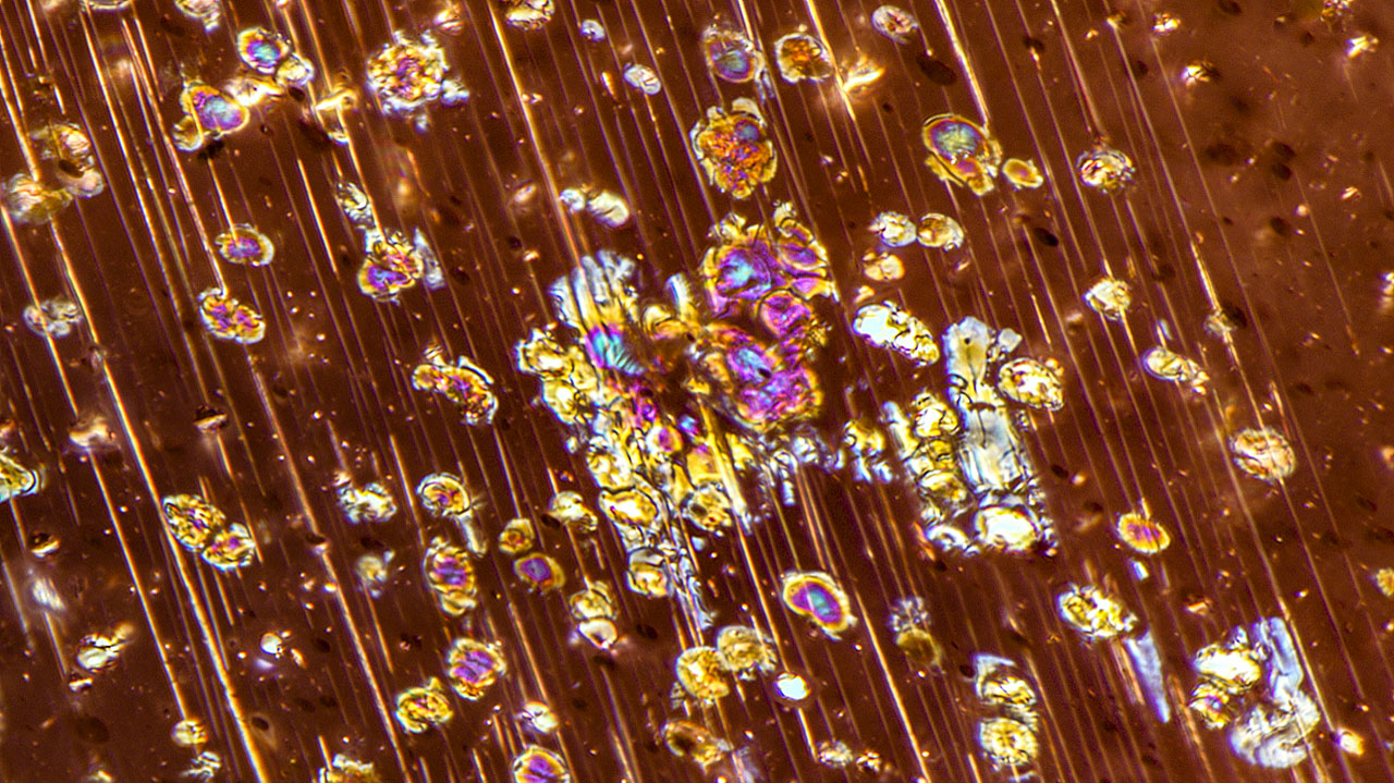Figure 1. Reflected light reveals the metallic luster of these colorful inclusions in an Oregon sunstone. Photomicrograph by Rosie Young; field of view 1.26 mm. Courtesy of GIA Museum, collection no. 4735. Figure 1. Reflected light reveals the metallic luster of these colorful inclusions in an Oregon sunstone. Photomicrograph by Rosie Young; field of view 1.26 mm. Courtesy of GIA Museum, collection no. 4735.