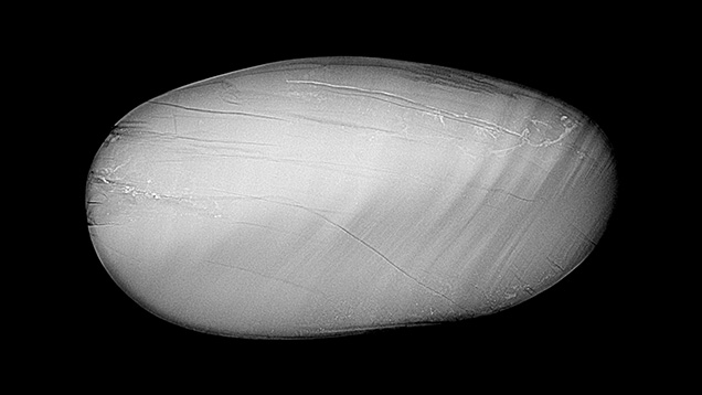 Figure 4. The 0.72 ct cabochon showed an internal banded structure alternating between light gray stripes of aragonite and dark gray stripes of protein-rich material in the RTX image. Image by Amiroh Steen.