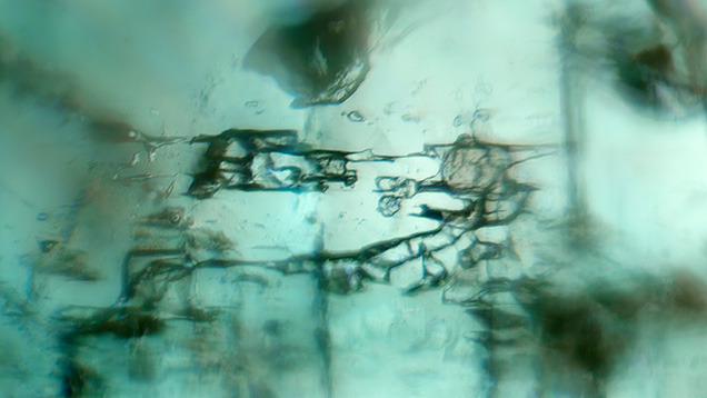 Figure 2. Fluid and two-phase jagged inclusions in a Kazakhstani emerald. Photomicrograph by Rhiana Elizabeth Henry; field of view 1.44 mm. Figure 2. Fluid and two-phase jagged inclusions in a Kazakhstani emerald. Photomicrograph by Rhiana Elizabeth Henry; field of view 1.44 mm.