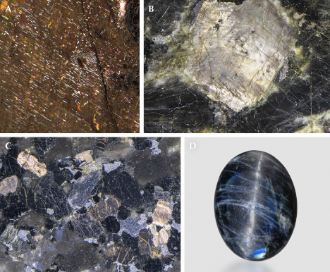 Figure 23. A: Oriented needle inclusions in a labradorite from Ukraine (commercially known as “Volga Blue”). B: A labradorite crystal in a polished anorthosite slab (Volga Blue) showing silver sheen at a different angle from iridescence. C: Labradorite crystals in a gabbro slab from India (commercially known as “black galaxy”) showing golden sheen from oxidized magnetite needles. D: A 14.54 ct labradorite cabochon showing chatoyancy. Photos by Shiyun Jin (A), Nathan Renfro (B and C), and Emily Lane (D); fields of view 4.76 mm (A), 36.5 mm (B), and 9.7 mm (C).