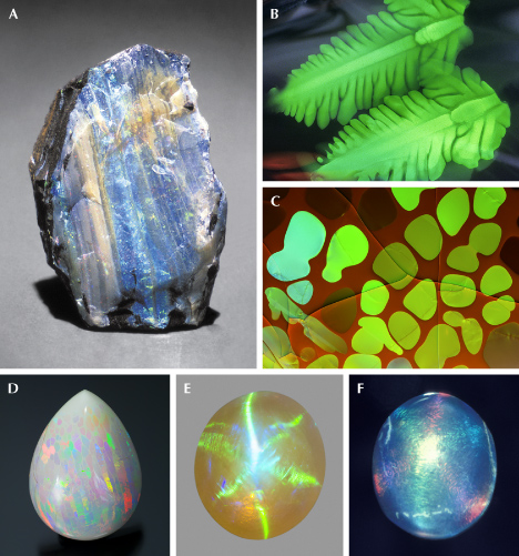 Figure 33. A: A rough opal showing play-of-color in a layered structure. B: Opal from the U.S. state of Nevada, showing two fern-shaped holographic play-of-color patterns. C: Play-of-color in a cell structure; courtesy of John I. Koivula. D: Ethiopian opal showing play-of-color in a digit pattern; courtesy of Opalinda and EyaOpal. E: A 2.39 ct opal showing a six-rayed star with play-of-color. F: Another star opal with different play-of-color on the opposing rays. Photos by GIA staff (A, E, and F), John I. Koivula (B), Nathan Renfro (C), and Robert Weldon (D); fields of view 13.5 mm (B) and 11.28 mm (C).
