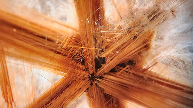Intersecting needles of rutile form a “star” inclusion in this colorless quartz. Photomicrograph by Isabelle Corvin; field of view 2.2 mm. Intersecting needles of rutile form a “star” inclusion in this colorless quartz. Photomicrograph by Isabelle Corvin; field of view 2.2 mm.