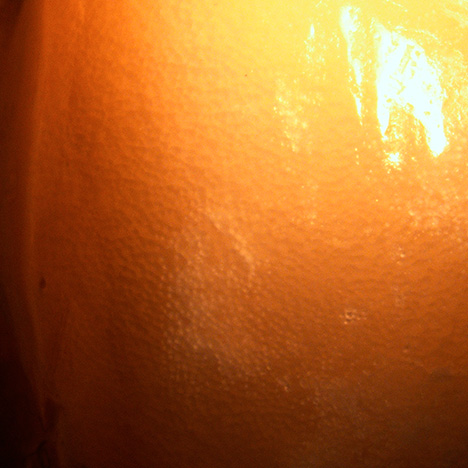 Porcelaneous and flame-like structure in larger fossilized blister pearl.