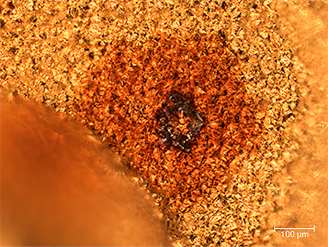Microstructure of a gold tarnish spot Microstructure of a gold tarnish spot