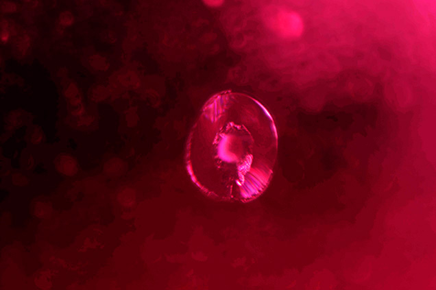 A heat-altered “snowball” crystal inclusion is surrounded by a discoid fracture.