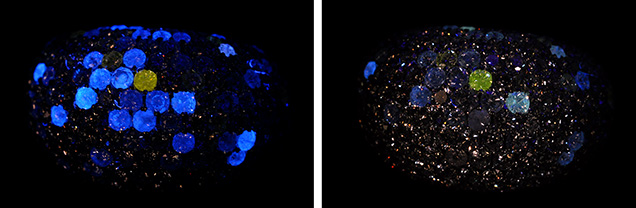 The yellow fluorescence of the HPHT-grown diamond The yellow fluorescence of the HPHT-grown diamond