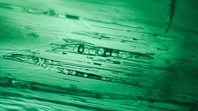 Needle-like multiphase inclusions in Afghan emerald Needle-like multiphase inclusions in Afghan emerald