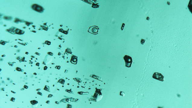 Blocky and irregular fluid inclusions Blocky and irregular fluid inclusions