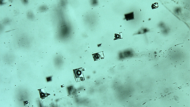 Rectangular blocky fluid inclusions Rectangular blocky fluid inclusions