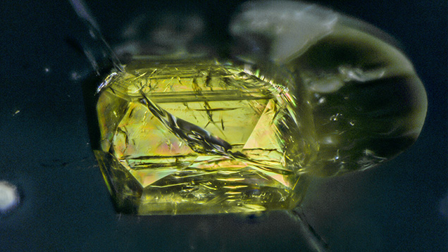 The monzanite inclusion shows bright interference colors.