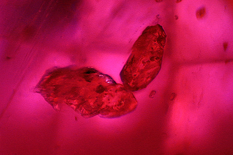 Figure 4. These two transparent brownish hellandite crystals found in a Mogok ruby possibly represent a new ruby inclusion. Photomicrograph by Huixin Zhao; field of view 1.70 mm.