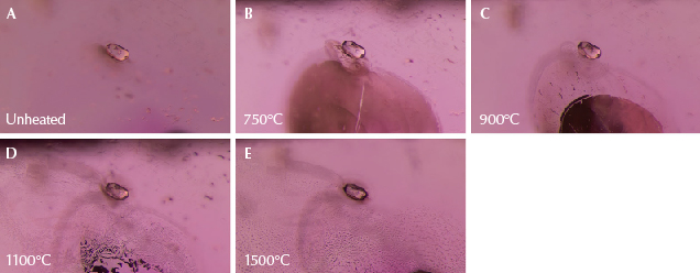 Figure 10. A: A transparent rounded zircon crystal in sample 4. B: A large, shiny fissure has developed. C: The fissure has begun to heal at the edges, creating a “fingerprint” pattern at the top and leaving a glassy area at the bottom. D: The fissure has further healed, producing many fine channels, while the glassy area has largely disappeared; the texture of the surface of the zircon crystal itself has also altered and become less smooth. E: The fingerprint has expanded, and many of the elongated channels have “necked down” to form smaller bubble-like features. Photomicrographs by E. Billie Hughes; field of view 1.5 mm. Figure 10. A: A transparent rounded zircon crystal in sample 4. B: A large, shiny fissure has developed. C: The fissure has begun to heal at the edges, creating a “fingerprint” pattern at the top and leaving a glassy area at the bottom. D: The fissure has further healed, producing many fine channels, while the glassy area has largely disappeared; the texture of the surface of the zircon crystal itself has also altered and become less smooth. E: The fingerprint has expanded, and many of the elongated channels have “necked down” to form smaller bubble-like features. Photomicrographs by E. Billie Hughes; field of view 1.5 mm.