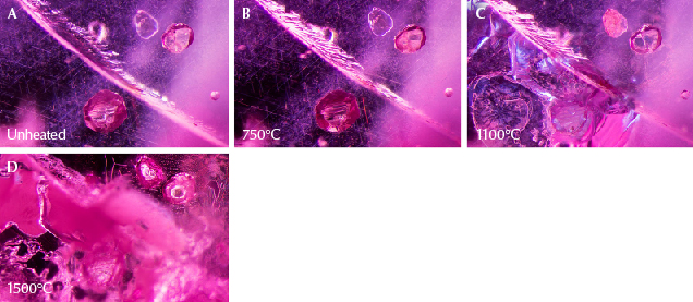 Figure 19. A: Sample 18 contains a variety of interesting inclusions. On either side of this fissure are two angular sulfide crystals set against a background of rutile silk needles. B: The sulfide crystals display subtle fissures at their edges, but the rest of the scene appears unaltered. C: Significant differences appear. Large, shiny fissures have developed, and opacity changes are visible, particularly in the lower sulfide crystal, which now appears whiter and cloudier. In the background, the rutile silk is still intact. D: Many fissures have appeared and begun to heal, partially obstructing the view. However, there are notable changes. The sulfide crystal at the top right has developed an immobile gas bubble. In the background, the rutile silk needles have dissolved. Photomicrographs by E. Billie Hughes; field of view 2 mm. Figure 19. A: Sample 18 contains a variety of interesting inclusions. On either side of this fissure are two angular sulfide crystals set against a background of rutile silk needles. B: The sulfide crystals display subtle fissures at their edges, but the rest of the scene appears unaltered. C: Significant differences appear. Large, shiny fissures have developed, and opacity changes are visible, particularly in the lower sulfide crystal, which now appears whiter and cloudier. In the background, the rutile silk is still intact. D: Many fissures have appeared and begun to heal, partially obstructing the view. However, there are notable changes. The sulfide crystal at the top right has developed an immobile gas bubble. In the background, the rutile silk needles have dissolved. Photomicrographs by E. Billie Hughes; field of view 2 mm.
