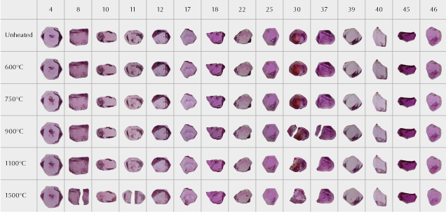 Figure 2. The 15 ruby samples from the experiments, before heat treatment and after each stage of heating. While the overall bodycolors did not show significant changes, there were changes to clarity as the inclusions altered. Sample 30 in particular showed a dramatic change in color due to the alteration of iron staining in a large fissure. Four samples (8, 11, 30, and 37) broke apart during heat treatment. We continued to heat the larger of the two pieces in subsequent rounds. Photos by Sora-at Manorotkul. Figure 2. The 15 ruby samples from the experiments, before heat treatment and after each stage of heating. While the overall bodycolors did not show significant changes, there were changes to clarity as the inclusions altered. Sample 30 in particular showed a dramatic change in color due to the alteration of iron staining in a large fissure. Four samples (8, 11, 30, and 37) broke apart during heat treatment. We continued to heat the larger of the two pieces in subsequent rounds. Photos by Sora-at Manorotkul.
