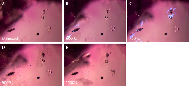 Figure 20. A: A variety of solid inclusions are present in sample 22. At left is a crystal containing diaspore, on the right are several transparent spinel crystals, and at the bottom right is a dark, rounded crystal of primary rutile. B: Changes are already visible, with a glassy fissure around the diaspore crystal on the left. Diffused fiber-optic illumination has been added to the transmitted light used for the other images in this set to accentuate the fissure. C: A fissure has also developed around the top of the spinel crystal. Again, diffused fiber-optic illumination has been added. D: The fissures that developed in previous stages have begun to heal and form fingerprints. E: These fissures heal further and melted-looking channels appear. Photomicrographs by E. Billie Hughes; field of view 2 mm. Figure 20. A: A variety of solid inclusions are present in sample 22. At left is a crystal containing diaspore, on the right are several transparent spinel crystals, and at the bottom right is a dark, rounded crystal of primary rutile. B: Changes are already visible, with a glassy fissure around the diaspore crystal on the left. Diffused fiber-optic illumination has been added to the transmitted light used for the other images in this set to accentuate the fissure. C: A fissure has also developed around the top of the spinel crystal. Again, diffused fiber-optic illumination has been added. D: The fissures that developed in previous stages have begun to heal and form fingerprints. E: These fissures heal further and melted-looking channels appear. Photomicrographs by E. Billie Hughes; field of view 2 mm.