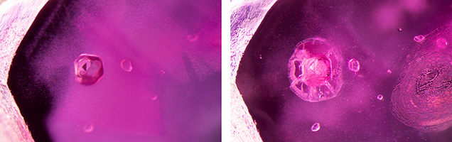Figure 26. Left: Sample 46 contains a rounded apatite crystal (the larger crystal on the left with the dark triangle) and a small transparent zircon crystal immediately to its right. Remarkably, the apatite crystal remains unchanged until the last round of heating. Right: After heating to 1500°C, the apatite crystal has developed a partially healed fracture around it and become more whitish and opaque. The zircon crystal to the right of it has developed a mottled appearance with a few spots in its interior. On the far right, a partially healed fissure has developed. Photomicrographs by E. Billie Hughes; field of view 1.5 mm. Figure 26. Left: Sample 46 contains a rounded apatite crystal (the larger crystal on the left with the dark triangle) and a small transparent zircon crystal immediately to its right. Remarkably, the apatite crystal remains unchanged until the last round of heating. Right: After heating to 1500°C, the apatite crystal has developed a partially healed fracture around it and become more whitish and opaque. The zircon crystal to the right of it has developed a mottled appearance with a few spots in its interior. On the far right, a partially healed fissure has developed. Photomicrographs by E. Billie Hughes; field of view 1.5 mm.
