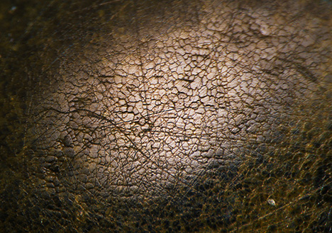 Figure 3. The non-nacreous surface of both pearls exhibited a similar cellular structure that could be viewed under high magnification using fiber-optic illumination. Some fine surface lines were present in random directions across the cellular structures. Photomicrograph by Artitaya Homkrajae; field of view 1.59 mm. Figure 3. The non-nacreous surface of both pearls exhibited a similar cellular structure that could be viewed under high magnification using fiber-optic illumination. Some fine surface lines were present in random directions across the cellular structures. Photomicrograph by Artitaya Homkrajae; field of view 1.59 mm.